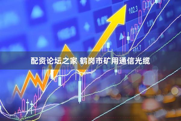 配资论坛之家 鹤岗市矿用通信光缆