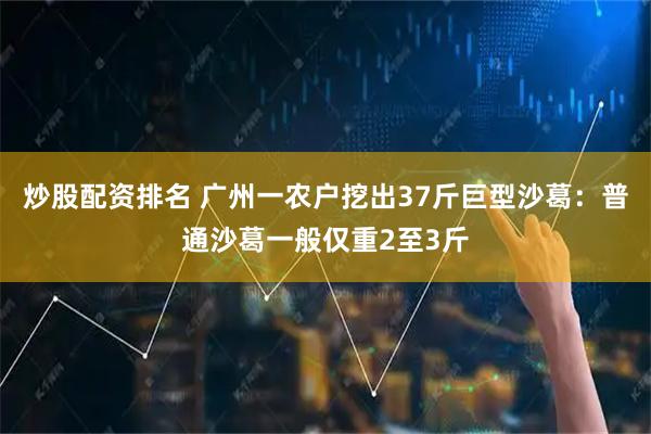 炒股配资排名 广州一农户挖出37斤巨型沙葛：普通沙葛一般仅重2至3斤