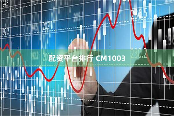 配资平台排行 CM1003