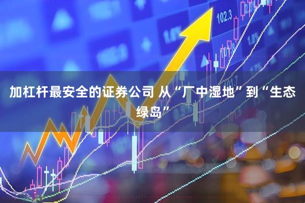 加杠杆最安全的证券公司 从“厂中湿地”到“生态绿岛”